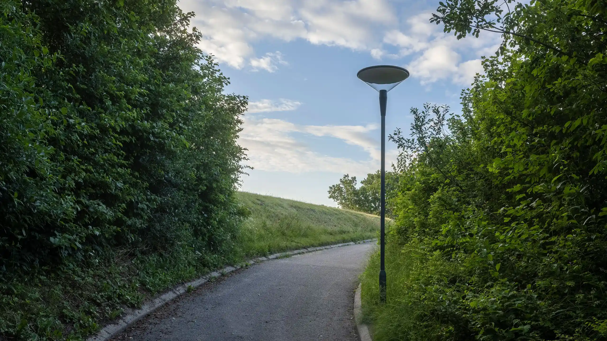 Street light fixture as lighting for a path